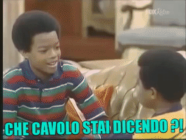 Cosa What GIF