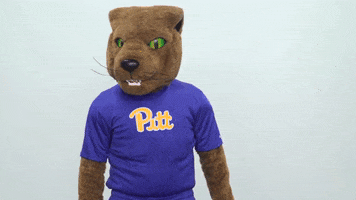 looking college sports GIF by Pitt Panthers