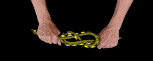 bondage rope gag gif