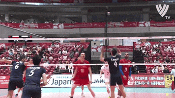 King Speed GIF by Volleyball World