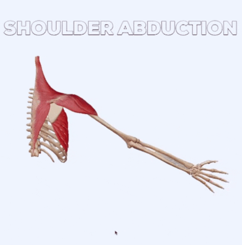 Workout Training GIF