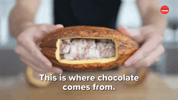 Chocolate Cacao GIF by BuzzFeed