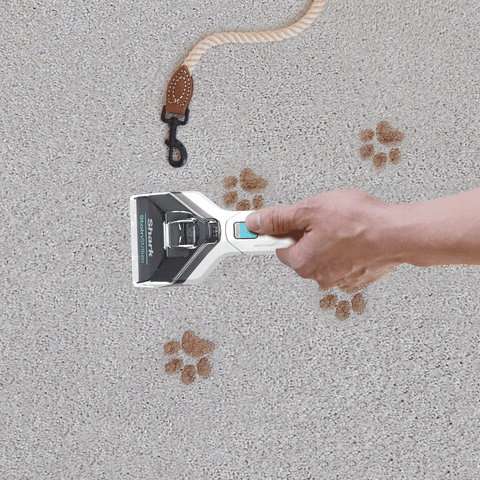 Dog Paws GIF by Shark Cleaning