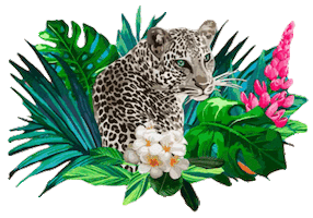 Animated Sticker