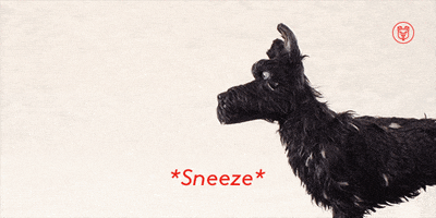 bryan cranston sneeze GIF by Fox Searchlight
