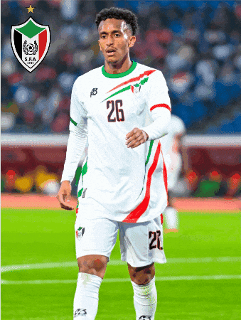 Memo Sudan GIF