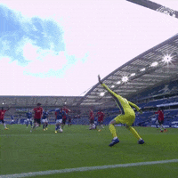 De Gea GIFs - Find & Share on GIPHY