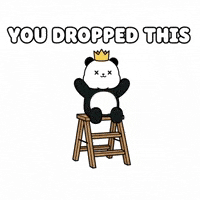 Cartoon Character Panda GIF by Kanpai Pandas