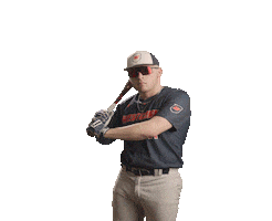 Wcsubaseball Sticker by WCSU