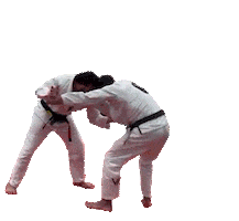Judo Jiujitsu Sticker by Virtue BJJ
