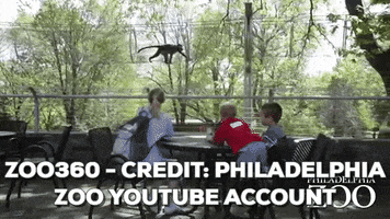 njplaygrounds  GIF