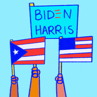 Puerto Rican Flag Gifs Get The Best Gif On Giphy