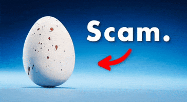 Egg Thumbnail GIF