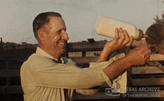 Valentines Day Love GIF by Texas Archive of the Moving Image