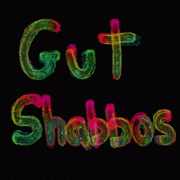 Good Shabbos GIF