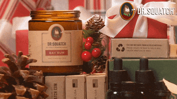 The Essentials Christmas GIF by DrSquatchSoapCo