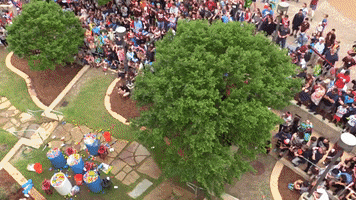 Texas Am Fun GIF by College of Arts and Sciences