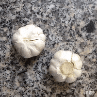 garlic cloves GIF by GoPop