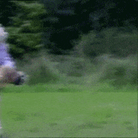 200w.gif