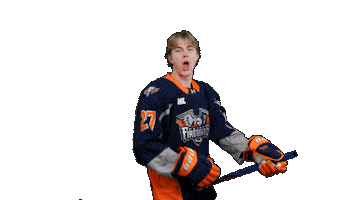 Goal Hockey Sticker by Flint Firebirds