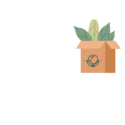 Vivero Pedido Sticker by elceibovivero