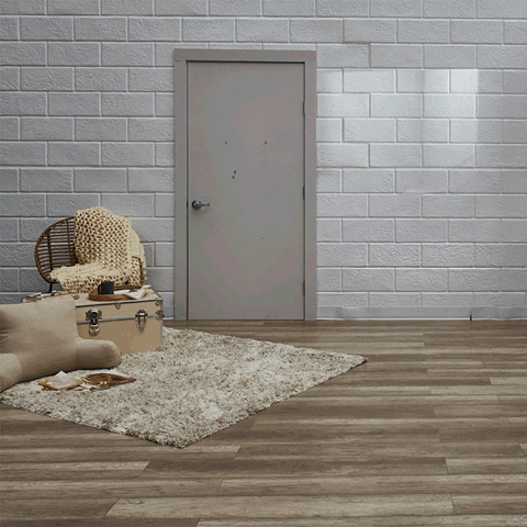 OCM GIF