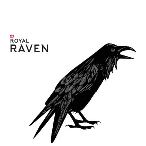 Crow Kazan Sticker by Tatspirtprom