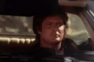 https://media3.giphy.com/media/2I1yp03NZG13y/source.gif
