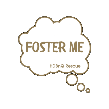 HDBnQ Rescue Sticker