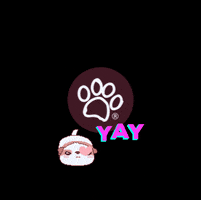 Andrea and the Dog GIF