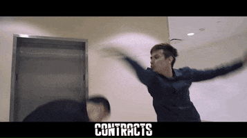 Martial Arts Fight GIF by Indiecan Entertainment Inc.