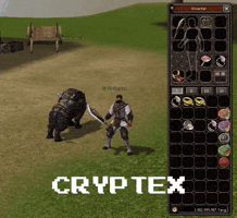 Metin2 GIF