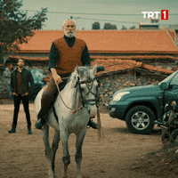 White Horse GIF by TRT
