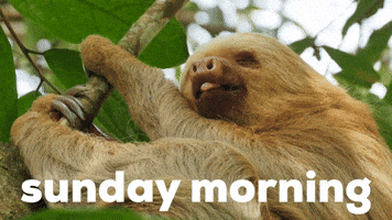 Happy Sunday GIF by Sealed With A GIF