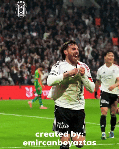 Beşiktaş GIF