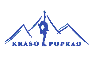 Ice Skating Sticker by IceCrew