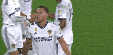 Vamos Lets Go GIF by Major League Soccer
