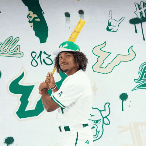 South Florida Baseball GIF by USF Athletics