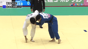 Judo GIF by flograppling