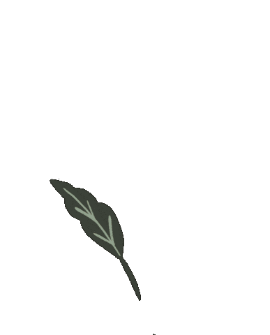 Flowers Love Sticker by Fertility Support SG