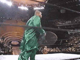 Wwe GIF