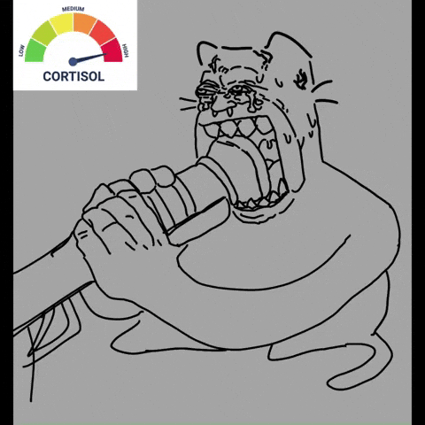 High Cortisol GIF