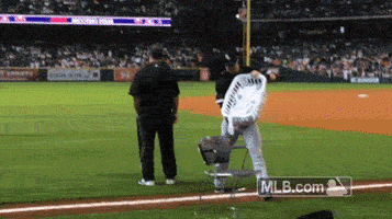 chicago whitesox GIF by MLB