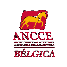 ANCCE-Bélgica Sticker