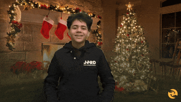Christmas Verne GIF by Stichting Jord