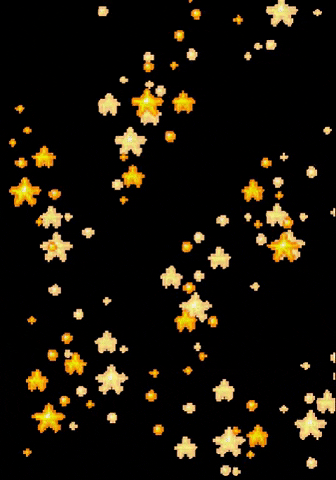 Bmd GIF