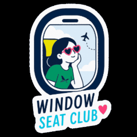 Travel Flying GIF by Budapest Airport