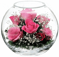 Animation Flowers Gifs Get The Best Gif On Giphy Animation Flowers Gifs Get The Best Gif On Giphy