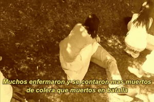 paulasiles  GIF