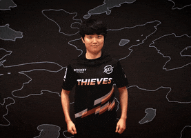 Video Games Esports GIF by 100 Thieves